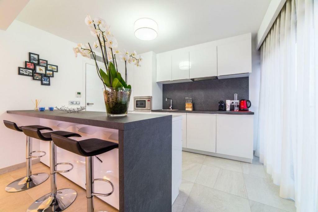 7 Croisette Appartement